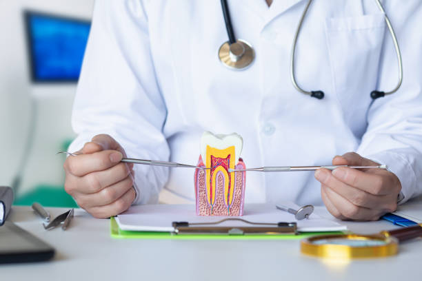 Best Dentist for Tooth Abscess  in Dundee, FL